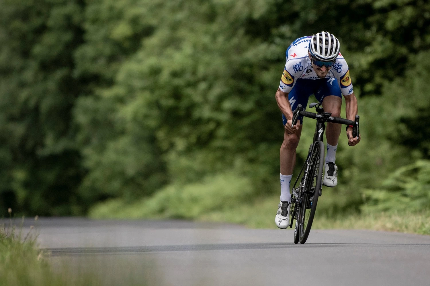 Vendite Corone Bicicletta -Vendite Corone Bicicletta 118799469 3516655405032134 5527523676542742936 n