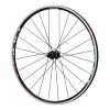 Ruota Posteriore Shimano R501-A Disc IS 6-bolts Asse QR -Vendite Corone Bicicletta ewhr501arcbyl 001