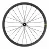 Ruota Anteriore Mavic Cosmic SL 32 Per Tubeless Disc Center Lock -Vendite Corone Bicicletta mv lf9032100 001