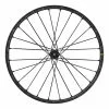 Ruota Anteriore Mavic Deemax Pro Sam Hill Asse Passante 15/110 Mm BOOST -Vendite Corone Bicicletta mv lp8971100 c 002 1