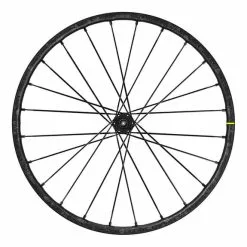 Ruota Anteriore Mavic Deemax Pro Sam Hill Asse Passante 15/110 Mm BOOST