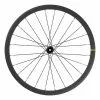 Ruota Posteriore Mavic Cosmic SL 32 Per Tubeless Disc Center Lock -Vendite Corone Bicicletta mv lr36871 001