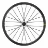 Ruota Posteriore Mavic Cosmic SLR 32 Per Tubeless Disc Center Lock -Vendite Corone Bicicletta mv lr39781 001