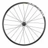 Ruota Posteriore Mavic Aksium Disc 19 -Vendite Corone Bicicletta mv r23151 c