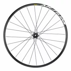 Ruota Posteriore Mavic Aksium Disc 19