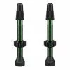Kit Valvole WTB TCS 46 Mm Alluminio Verde -Vendite Corone Bicicletta wb w095 0050 001